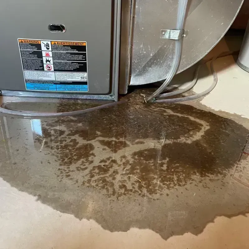 Appliance Leak Cleanup in Elwood, IL